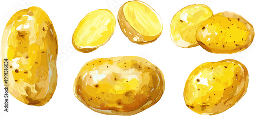 Collection of potatoes on white background with various patterns, flat design vector graphics.