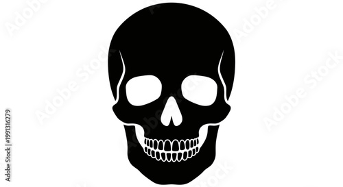 High-contrast vector illustration of a human skull, frontal view