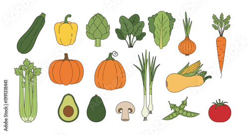 Wide collection of various fresh garden vegetables including pumpkin, avocado, peppers, and green leaves.