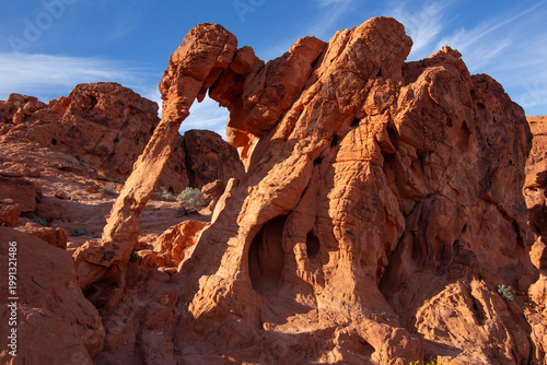 Elephant Rock in Valley of Fire State Park, USA.