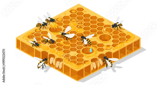 Isometric illustration of honeybees swarming around a golden honeycomb against a plain white background, showcasing the intricate hexagonal cells and their sweet contents in a bright, clean