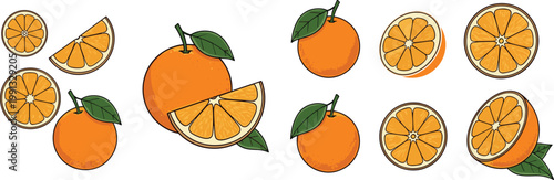 Orange fruit collection whole and sliced citrus fruit cartoon vector illustration set of fresh juicy healthy food isolated on light background