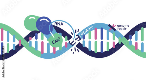 DNA Analysis with Scientific Charts and Laboratory Data Visualization