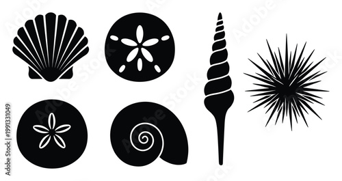 Silhouettes of sea creatures and various shells including scallop, sand dollar, sea urchin and spiral shells perfect for marine themed graphics.