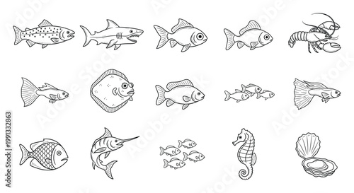 Diverse collection of marine animals for educational resources childrens books and oceanthemed projects.