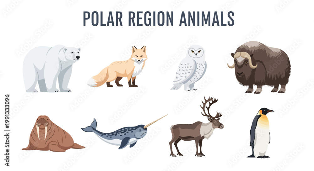 Obraz premium Polar region animals illustration set.