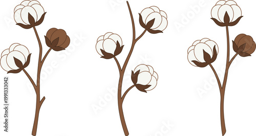 Konstfotografi Cotton Plant Set with Multiple Branch Variations and Natural Cotton Bolls for Ag