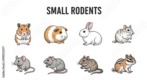 Obraz na plátně Small rodents group including hamster rabbit.