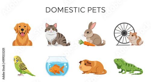Variety of common household domestic pets.