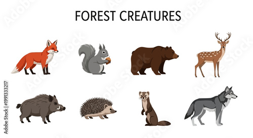 Forest creatures animals wildlife ecosystem.
