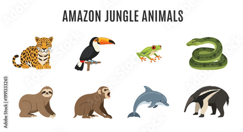 Amazon Jungle Animals Collection Illustration.