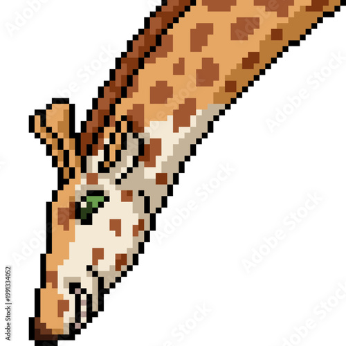 pixel art isolated background of playful giraffe long neck