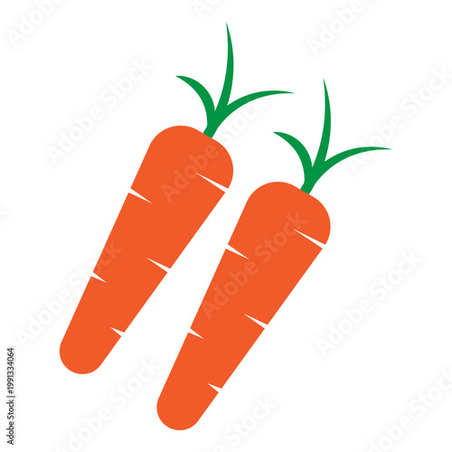 carrot vegetable illustration clip art