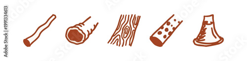 Natural wood textures and forestry icons collection with logs, bark and twigs