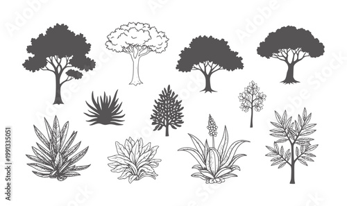 Collection of diverse trees and plants in silhouette and line nature