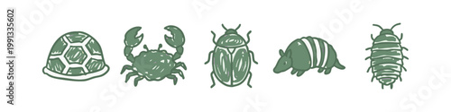 Five hand-drawn illustrations of insects and crustaceans