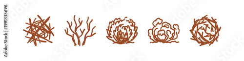 Set of 5 hand-drawn icons: brushwood, bare branches, bush, shrub, tangled branches