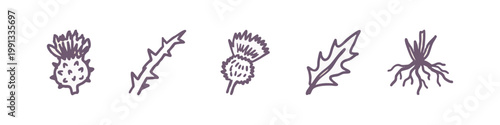 Set of 5 hand-drawn icons: thistle flower, thorny stem, thistle head, thistle leaf, plant roots
