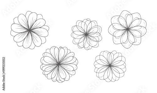 Five delicate line flowers arranged in a scattered pattern floral outline bloom