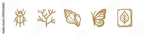 Insects, Shell, Butterfly, and Pressed Leaf Icons