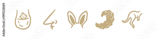 Kangaroo Anatomy and Marsupial Wildlife Icons in Tan