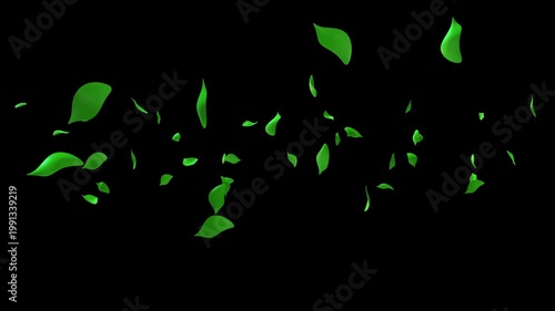 Fresh green leaves blowing across frame in wind isolated on transparent background – seamless natural overlay video asset