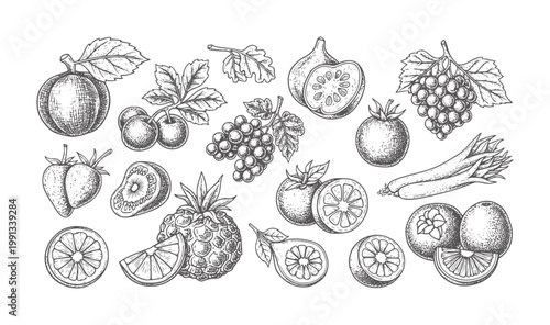 Hand drawn of assorted fruits and vegetables in black and white vintage food healthy