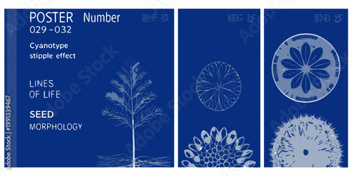 Cyanotype poster displaying botanical illustrations and scientific typography