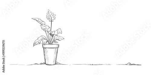 Hand drawn potted plant with large leaves and a spike flower botanical