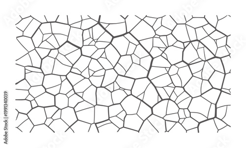 Irregular polygonal network pattern with thick dark gray lines white