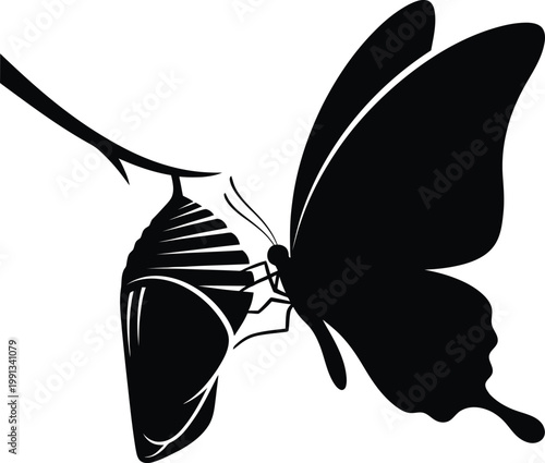 Black silhouette of a butterfly resting on a delicate branch nature's beauty