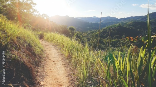 Winding dirt path through a lush, sun-drenched mountain landscape with rolling green hills.