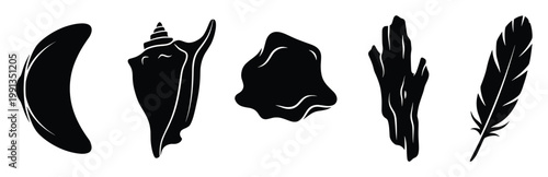 Collection of various natural marine elements like a seashell driftwood and feather silhouettes for ocean themed graphic resources and digital designs