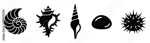 Diverse ocean seashells and marine animal forms serving as graphic assets for beach and aquatic themes