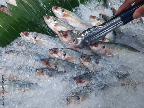 Photography Fresh fish on ice in supermarket seafood section, healthy protein food
