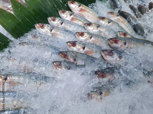 Photography Fresh fish on ice in supermarket seafood section, healthy protein food