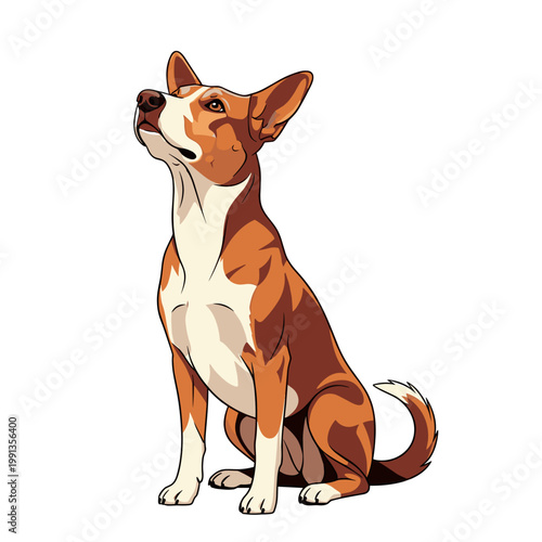 Basenji Dog Portrait with a Focused Expression