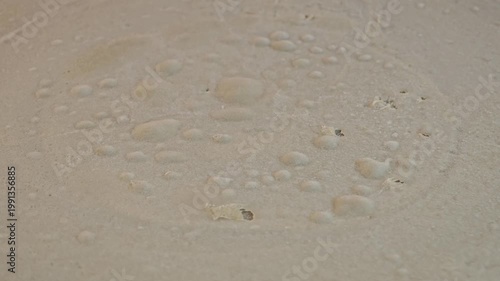 Thai style crepe on hot pan.