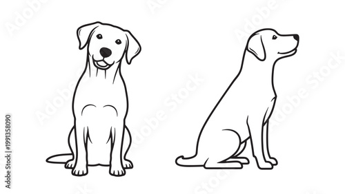 Minimalist Line Art Vector Illustration of Two Friendly Labrador Dogs Sitting, One Facing Forward with Head Tilt, the Other in Profile View.