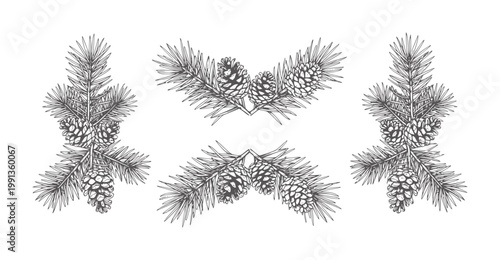 Εκτύπωση καμβά Hand drawn pine branches with cones in a symmetrical pattern evergreen nature