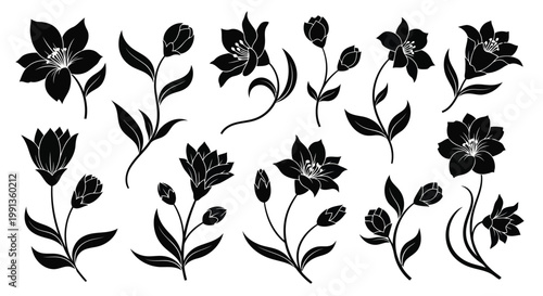 Adobe Illustrator Artwork