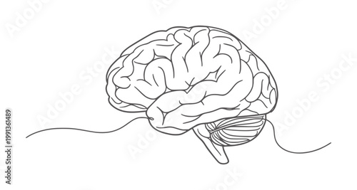 Simple line of a human brain in profile view anatomy science medical
