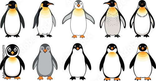 Set of Cute Penguin Illustrations in Different Poses and Colors for Vector Graphics on White Background