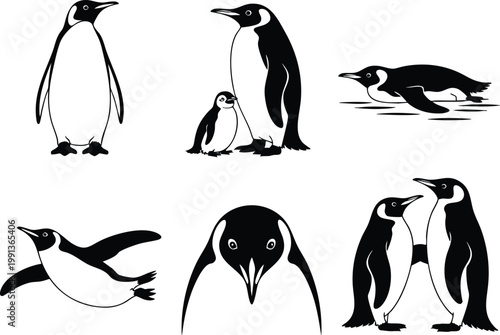 Minimalist Penguin and Antarctic Wildlife Icon Set, Black and White Emperor Penguin Behavior Symbols, Modern Penguin Silhouette and Character Vector Graphics.