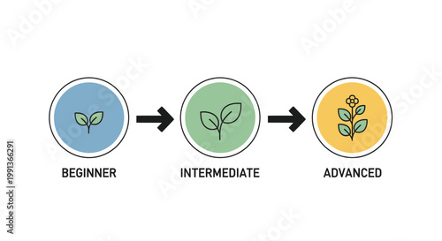 Learning stages, skill levels, growth icons, vector progress steps, beginner to advanced