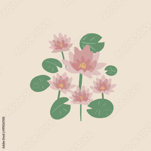 Obraz na plátně Beautiful pink water lily flowers and green leaves illustration