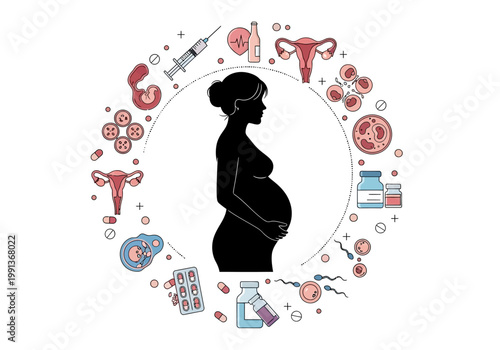 Pregnancy and Fertility Concept Illustration with Woman Silhouette and Reproductive Medical Icons for IVF, Embryology, and Prenatal Healthcare