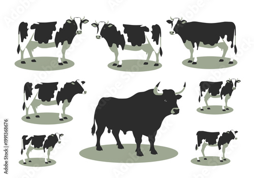 Vector Illustration Set of Dairy Cattle Featuring Holstein Cows, Calves, and a Large Black Bull for Agricultural and Farming Designs