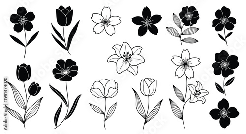 Adobe Illustrator Artwork