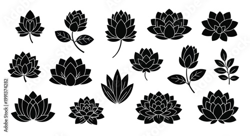 Adobe Illustrator Artwork